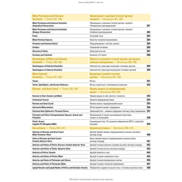 Атлас анатомії людини за Неттером. Класичний ділянковий підхід. 8-е видання (двомовне видання)