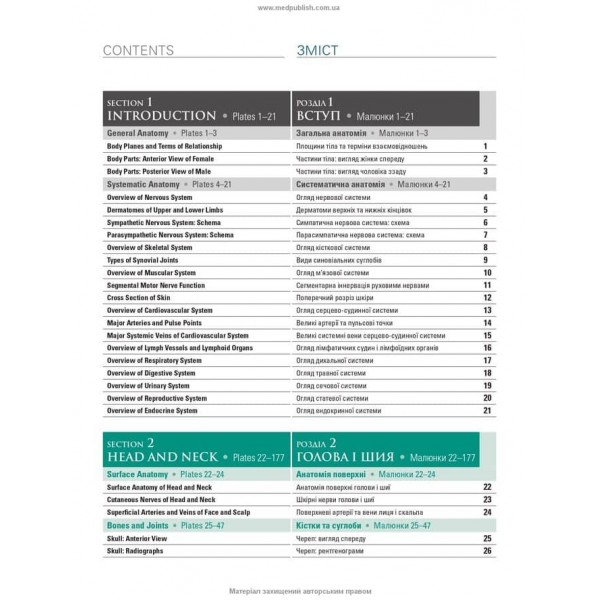 Атлас анатомії людини за Неттером. Класичний ділянковий підхід. 8-е видання (двомовне видання)