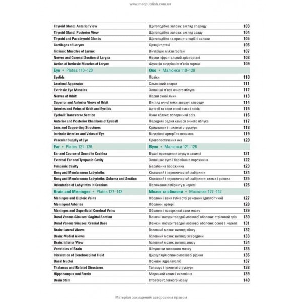 Атлас анатомії людини за Неттером. Класичний ділянковий підхід. 8-е видання (двомовне видання)