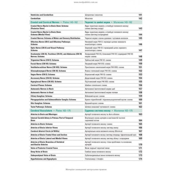 Атлас анатомії людини за Неттером. Класичний ділянковий підхід. 8-е видання (двомовне видання)