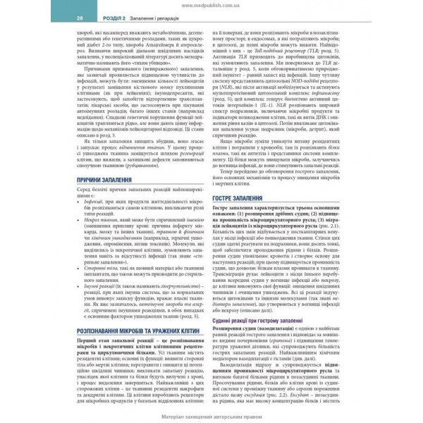 Основи патології за Роббінсом і Кумаром. 11-е видання