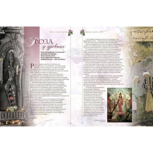 Міфи та легенди про квіти