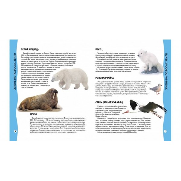 Енциклопедія тварин. Всезнайко