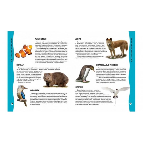 Енциклопедія тварин. Всезнайко