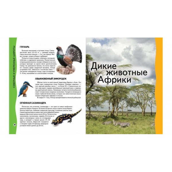 Енциклопедія тварин. Всезнайко