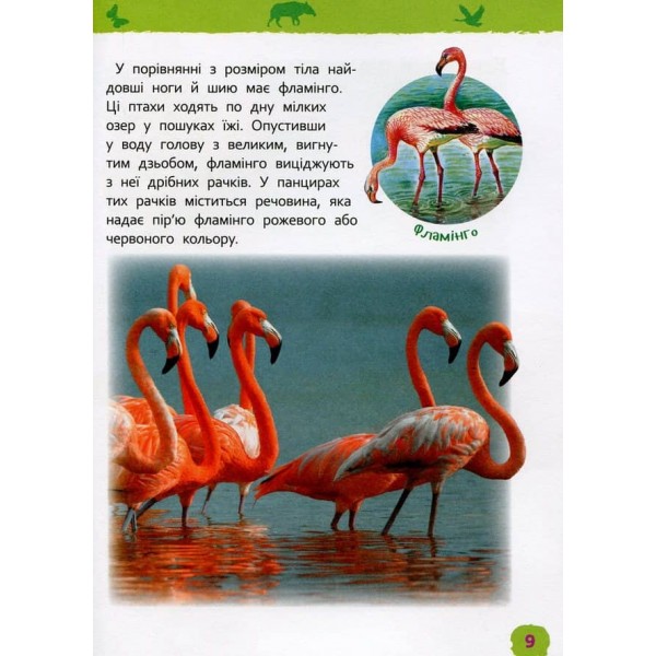 Дивовижні тварини. Моя перша енциклопедія