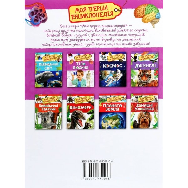 Тіло людини. Моя перша енциклопедія