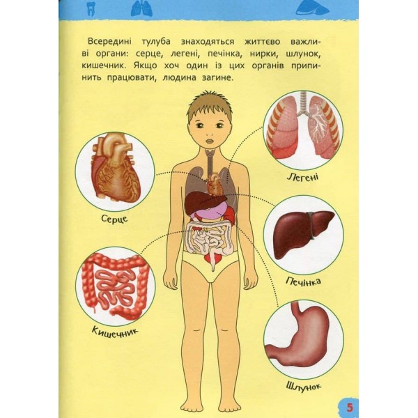 Тіло людини. Моя перша енциклопедія