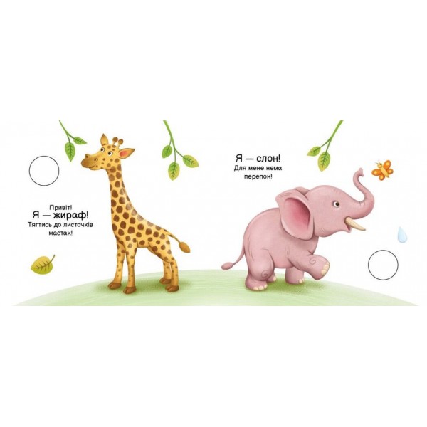 Тварини світу. Моя книжка-розкладайка