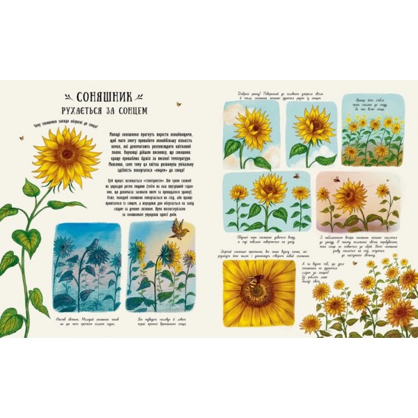 Маленькі дива природи