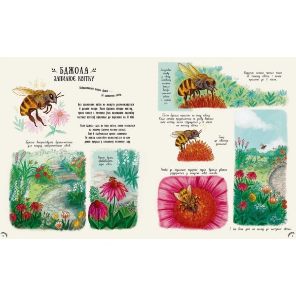 Маленькі дива природи