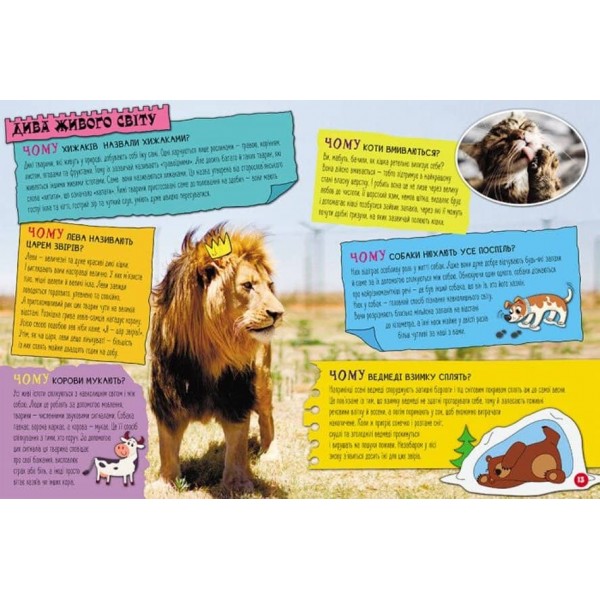100 відповідей на запитання ЧОМУ? Про все на світі