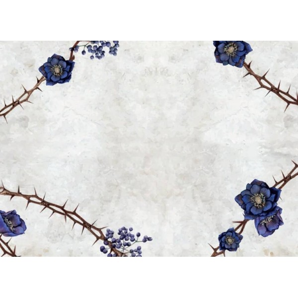 Сага сестер-відьом. Книга 1. Сестра зірок