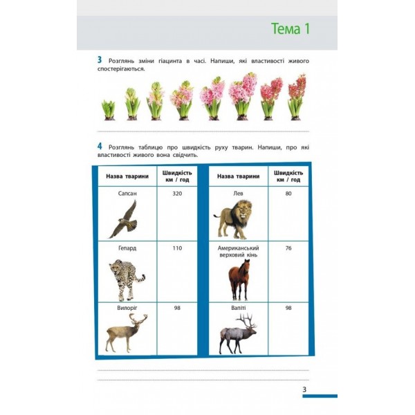 НУШ. Біологія. 7 клас. Робочий зошит