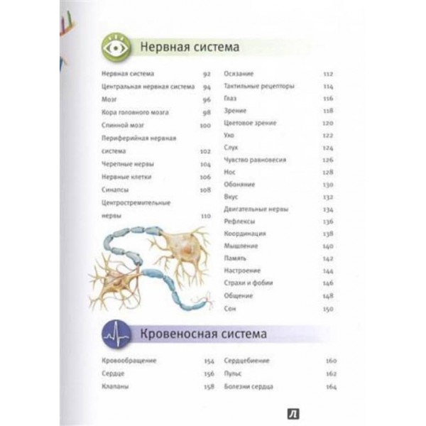 Тіло людини. Енциклопедія