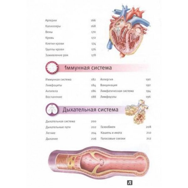 Тіло людини. Енциклопедія