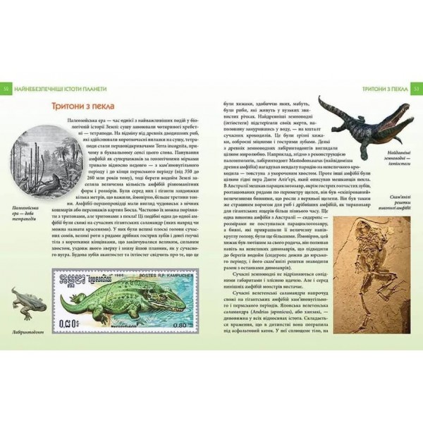 Найнебезпечніші істоти планети