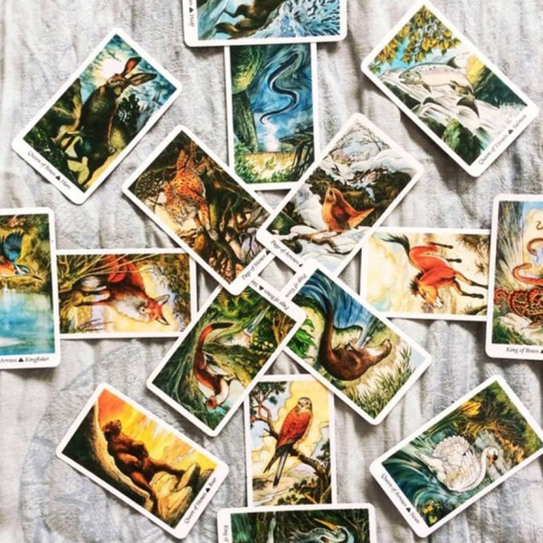 Комплект «Таро Дикого Лісу» (WILD WOOD TAROT): 78 карт + книга