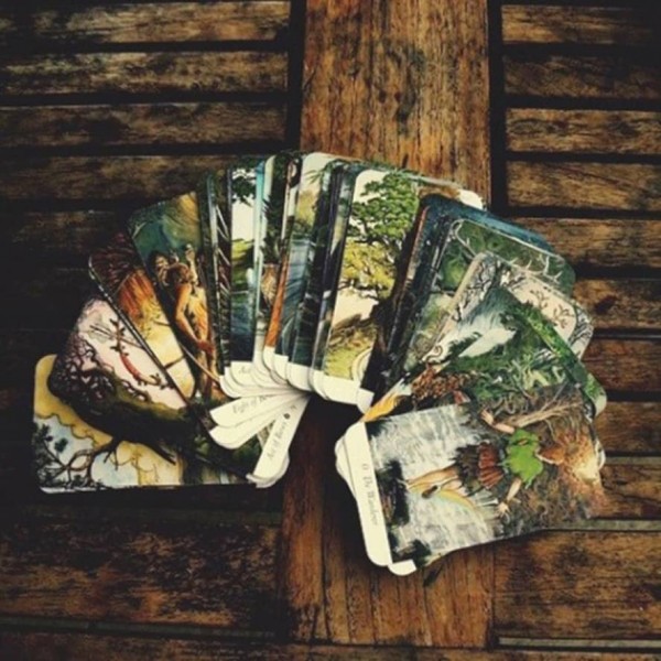 Комплект «Таро Дикого Лісу» (WILD WOOD TAROT): 78 карт + книга