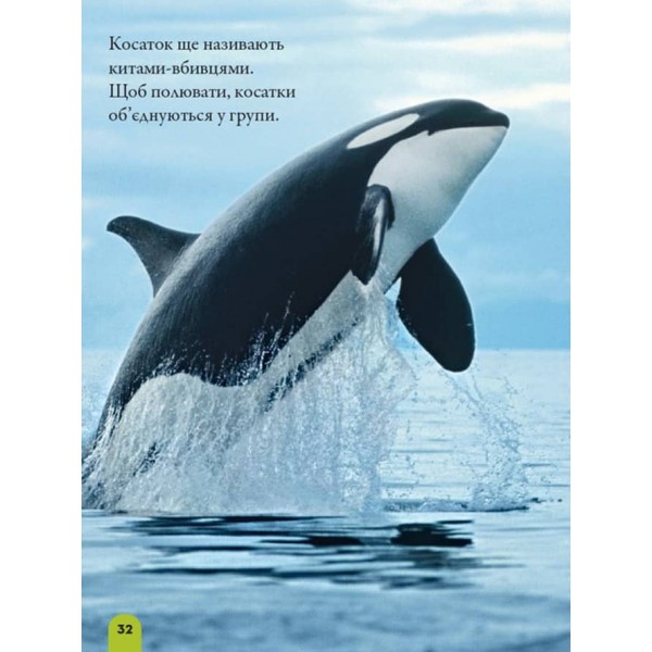Моя перша енциклопедія. Океани (National Geographic Kids)