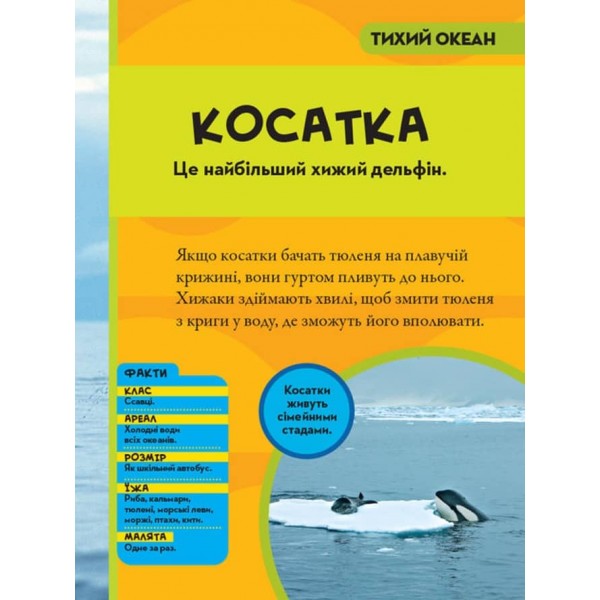Моя перша енциклопедія. Океани (National Geographic Kids)