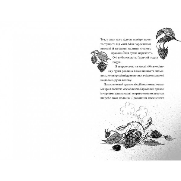 Хлопчик, який співав з драконами. Книга 5