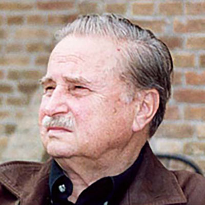 Павич, Мілорад