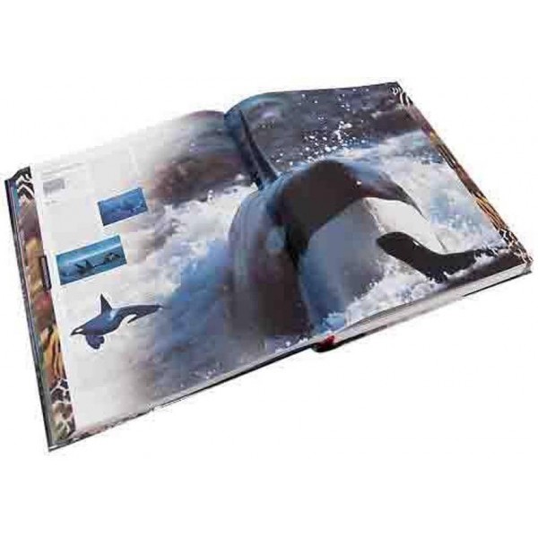 Тварини. Ілюстрована енциклопедія тварин усього світу