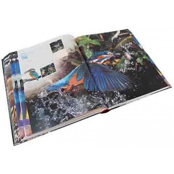 Тварини. Ілюстрована енциклопедія тварин усього світу