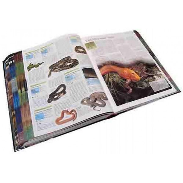 Тварини. Ілюстрована енциклопедія тварин усього світу