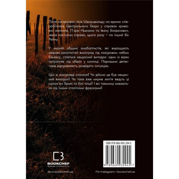 День попелу