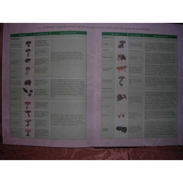 Кулінарна книга грибника