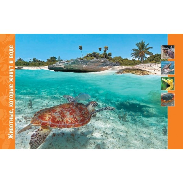 У світі тварин