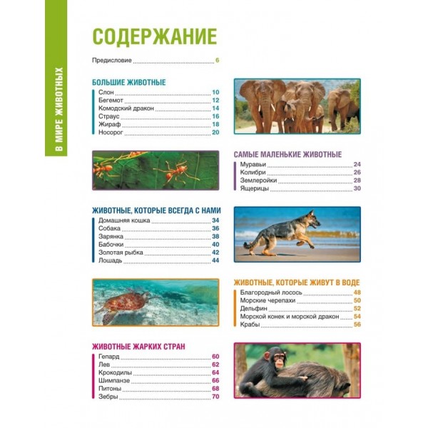 У світі тварин