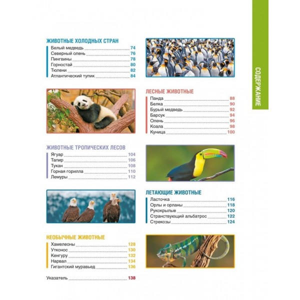 У світі тварин