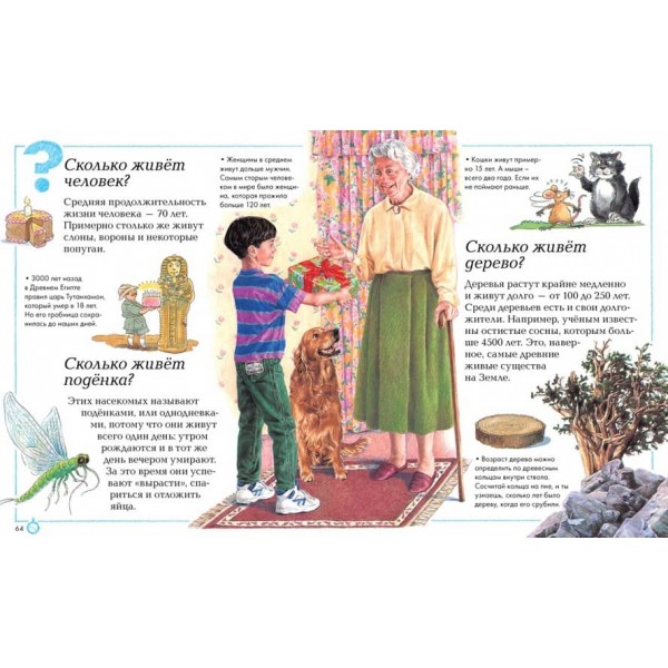 Чому і чому?