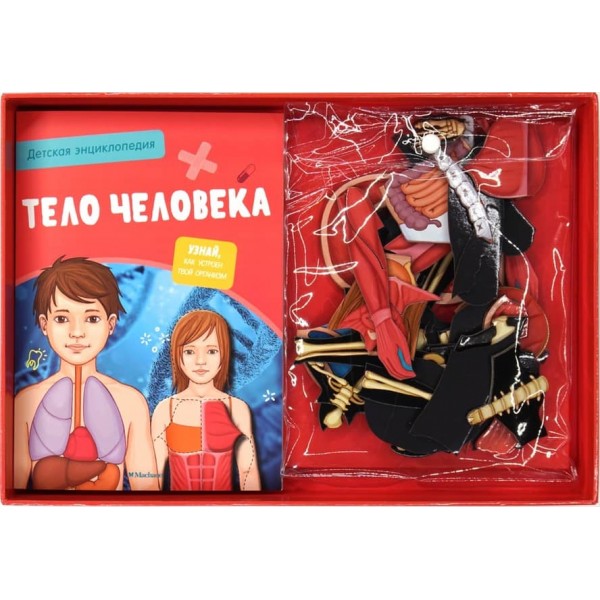 Тіло людини. Дитяча енциклопедія (нове оформлення, в коробці)