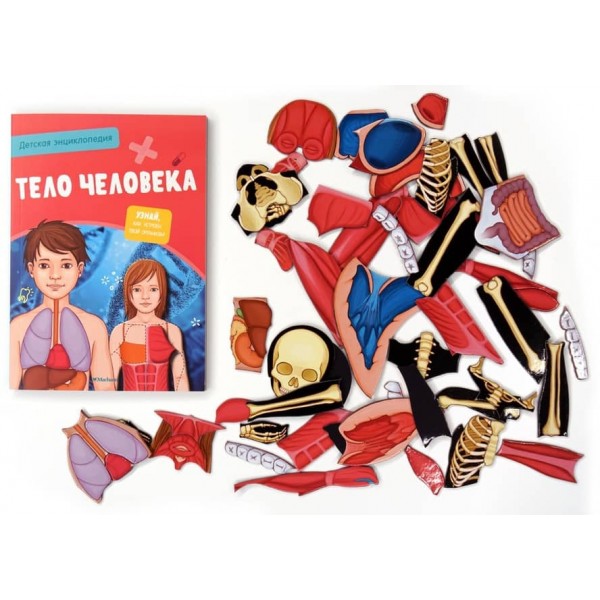 Тіло людини. Дитяча енциклопедія (нове оформлення, в коробці)