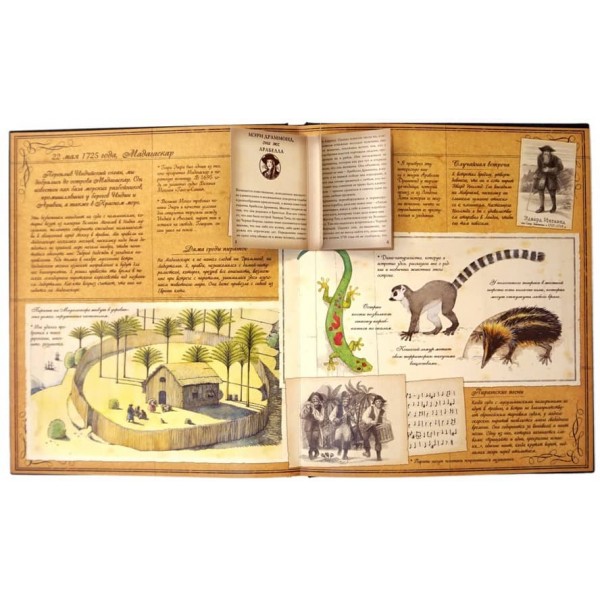 Піратологія