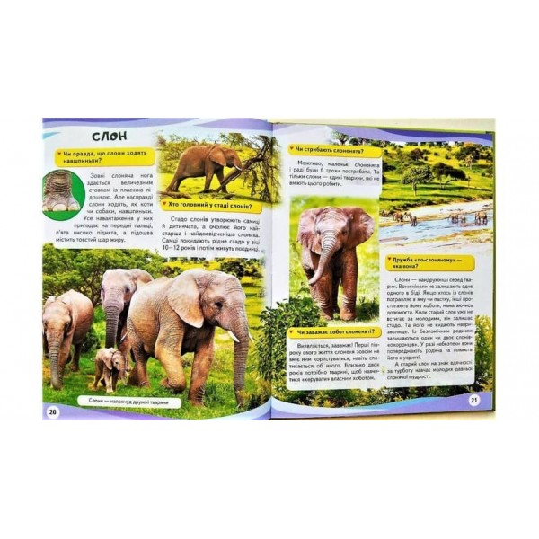 Енциклопедія у запитаннях та відповідях. Мами та малюки. Тигр