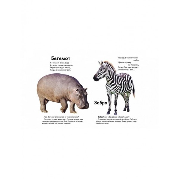 Хто це? Екзотичні тварини