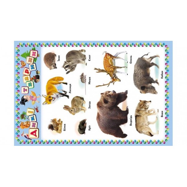 Моя перша книга. Цікава енциклопедія для малюків