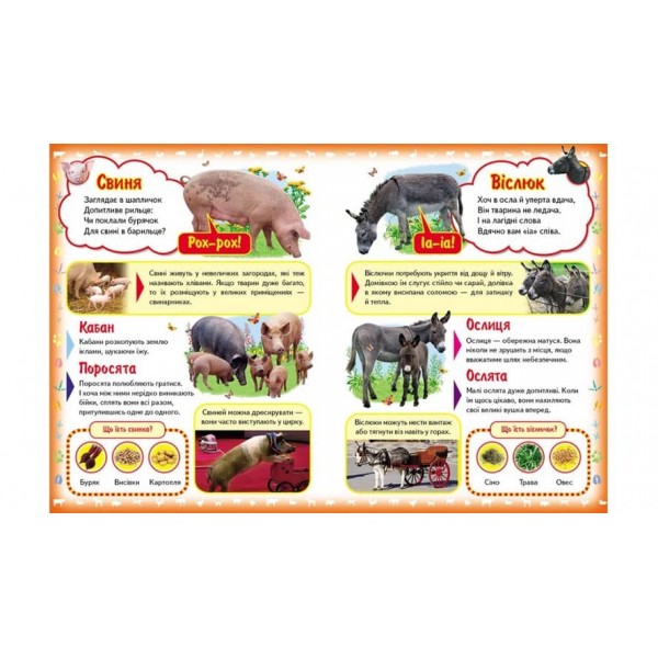 Моя перша книга. Про свійських тварин