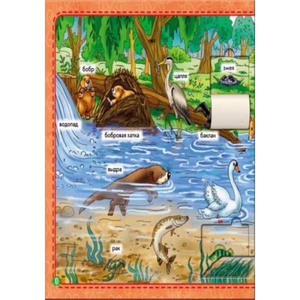 У лісі. Мій перший словничок з віконцями (російською мовою)