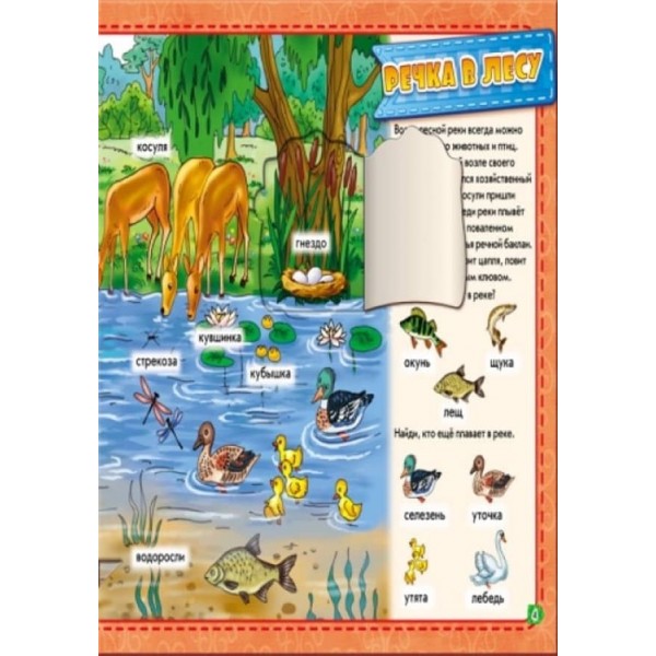 У лісі. Мій перший словничок з віконцями (російською мовою)