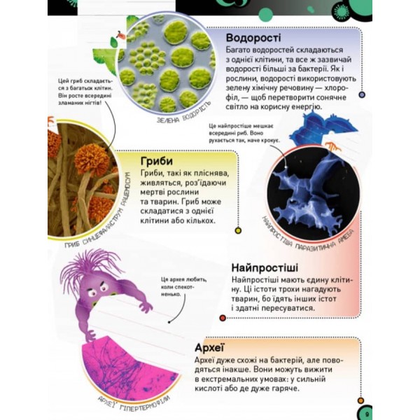 Небачені бактерії. Зухвалі бацили, підступні віруси та хитрі гриби (українською мовою)