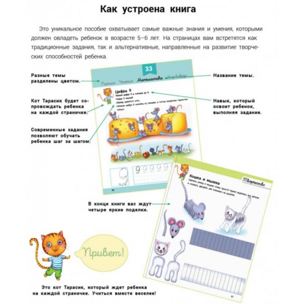 Розвивалочка з котом Тарасиком. 5-6 років + 100 наліпок (російською мовою)