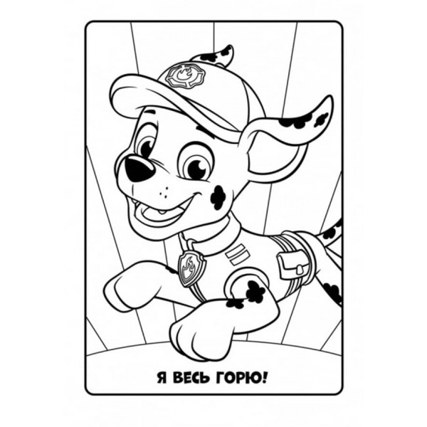 Щенячий Патруль. Кольорові пригоди. Активіті-розмальовка. Разом ми сила! (українською мовою)