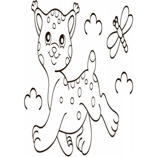 Водна розмальовка. Дикі тварини (українською мовою)