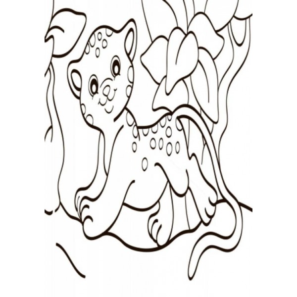 Водна розмальовка. Екзотичні тварини (українською мовою)
